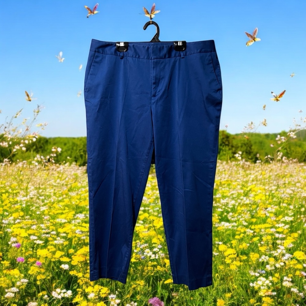 Coldwater Creek Blue Pants